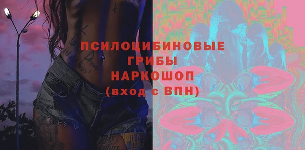 прущие грибы Богородицк