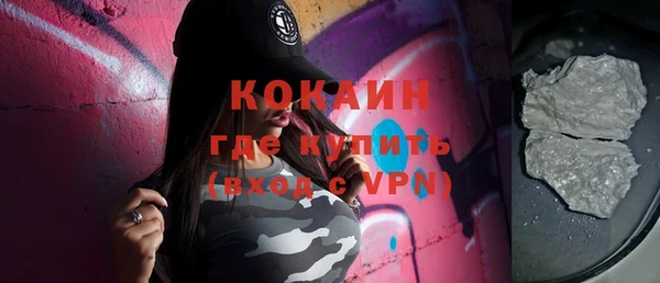 прущие грибы Богородицк