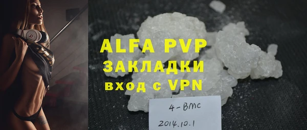прущие грибы Богородицк