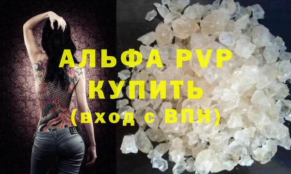 прущие грибы Богородицк