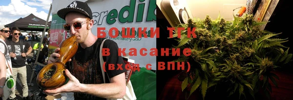 МДПВ Богородск